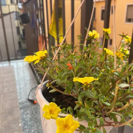 Luce Place Authentic Getaway דירה *